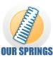 OUR SPRINGS